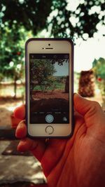 Cropped image of man photographing through smart phone