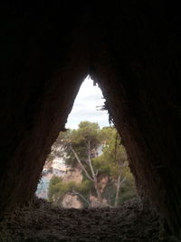 View of trees seen through arch