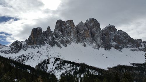 Low angle view of trees on snowcapped mountain against sky