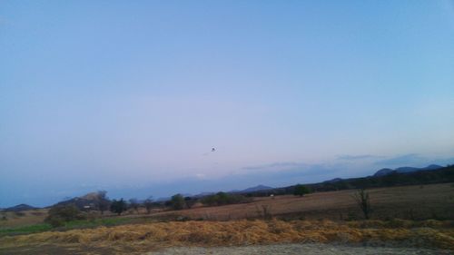Scenic view of trees against clear blue sky
