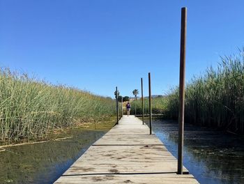 Footpath amidst grass against clear sky