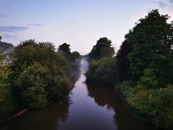 Scenic view of river amidst trees in forest against sky