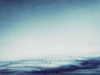 Low angle view of trees against blue sky