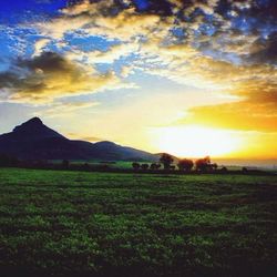 Scenic view of landscape at sunset