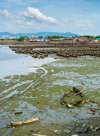 Scenic view of shore against sky