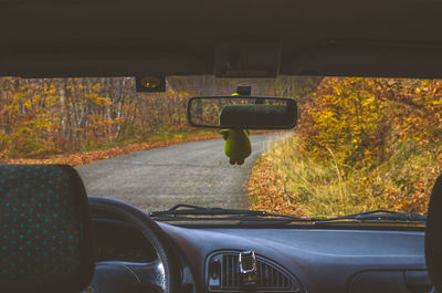 Close-up of car on road