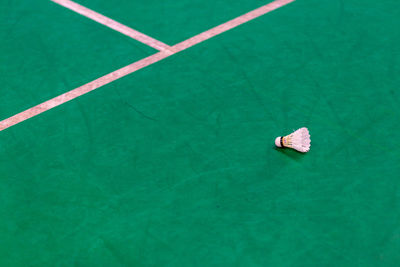 High angle view of umbrella in water