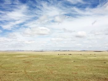 Scenic view of landscape against sky