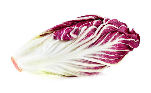 Close-up of purple flower against white background