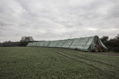 Scenic view of field against sky