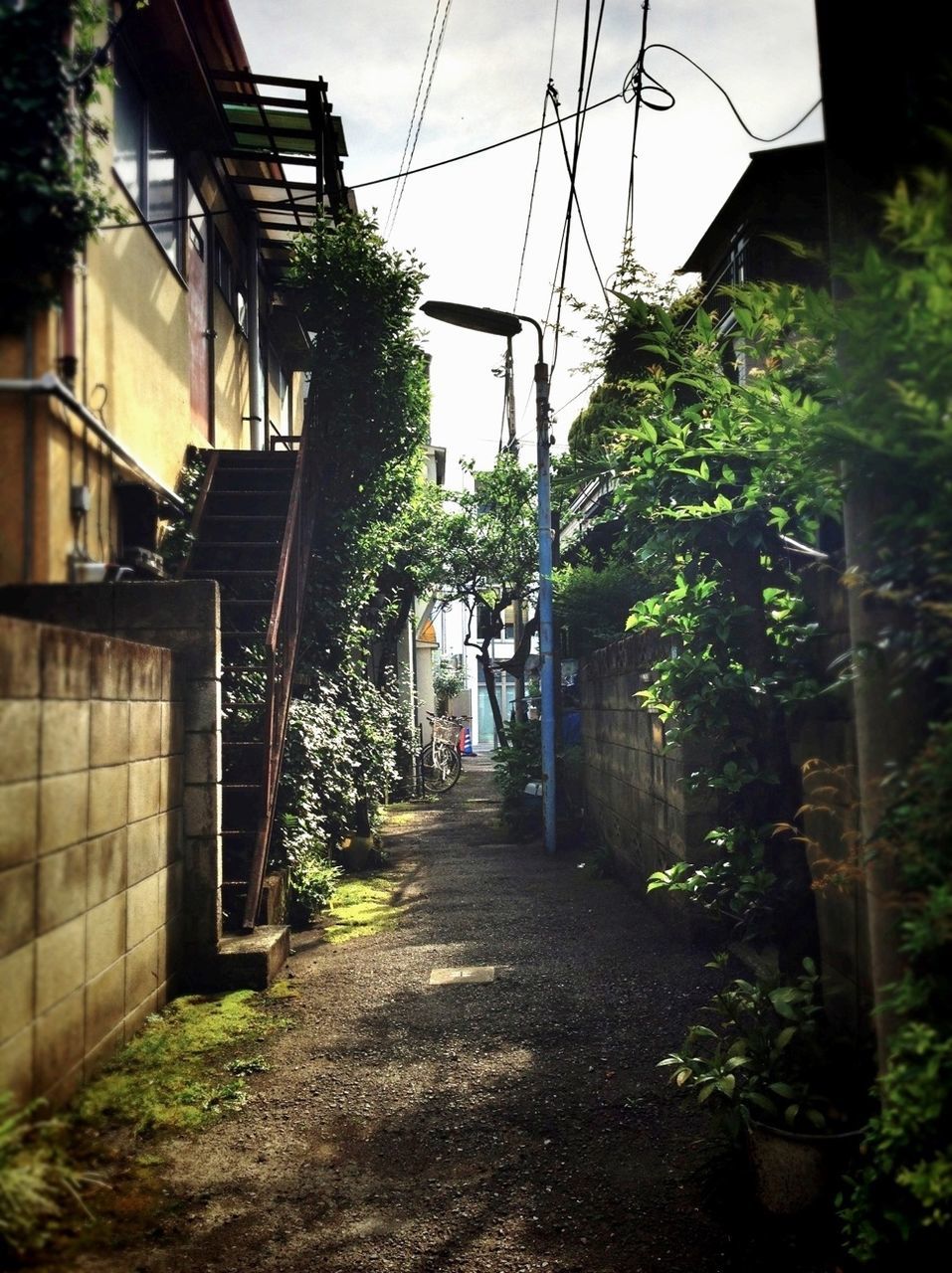 architecture, building exterior, the way forward, built structure, house, diminishing perspective, residential structure, narrow, residential building, alley, vanishing point, tree, street, power line, plant, building, long, day, empty, transportation