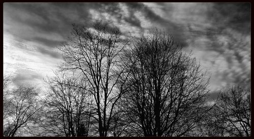 Low angle view of bare trees against cloudy sky