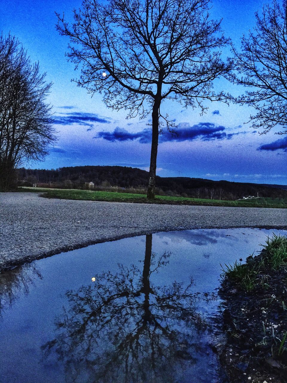 tree, tranquility, tranquil scene, bare tree, water, scenics, lake, blue, beauty in nature, sky, nature, branch, reflection, landscape, silhouette, river, idyllic, non-urban scene, clear sky, outdoors