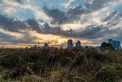 Scenic view of field against sky during sunset