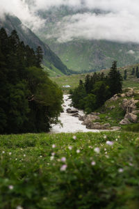 A little house locate on the river on remote valley in high mountain in india wi
