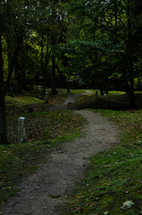 View of trees on landscape