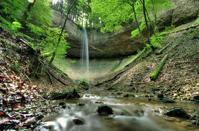 Water falling from rocks in forest