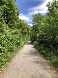 Road amidst trees against sky