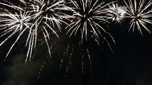 Low angle view of firework display at night