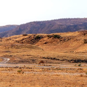 View of canal in desert