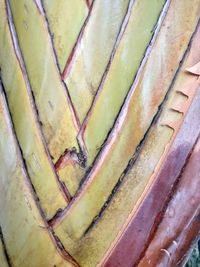 Full frame shot of bread in market