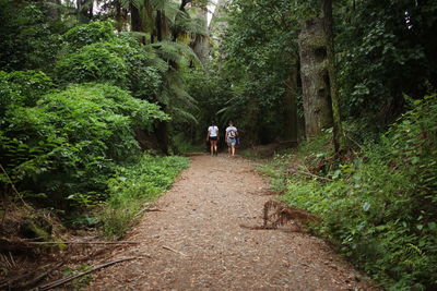 Rear view of people walking on footpath in forest