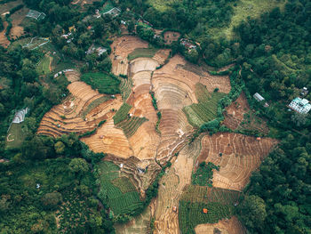 High angle view of people on rock