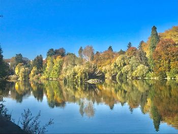 Scenic view of lake by trees against clear sky