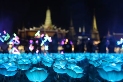 Close-up of illuminated lit up at night
