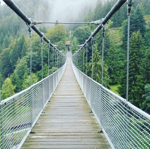 Footbridge in forest