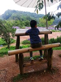 Rear view of boy sitting on wood against sky