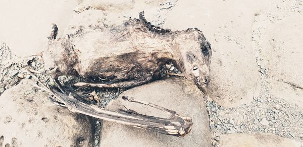High angle view of wet sand on beach