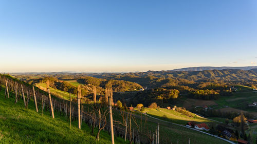 Scenic view of field against clear sky