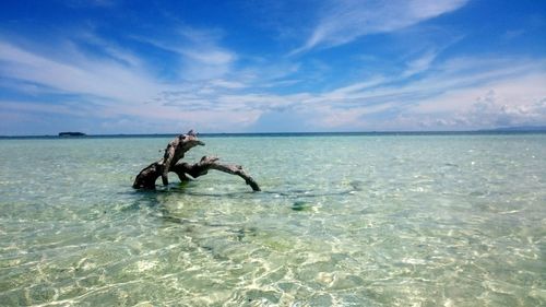 Scenic view of sea against blue sky