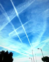 Low angle view of trees against blue sky