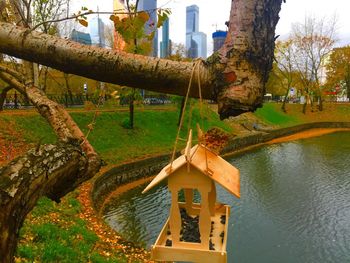 Traditional tree by water against sky