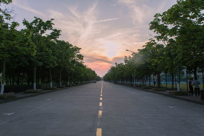 Road amidst trees against sky in city