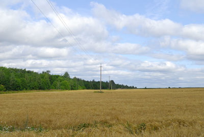 Scenic view of field against sky