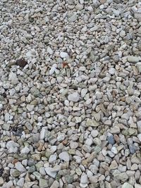 Full frame shot of pebbles