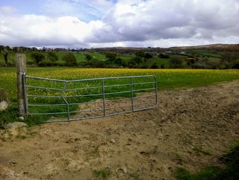 Scenic view of field against sky