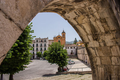 Trees and buildings against sky