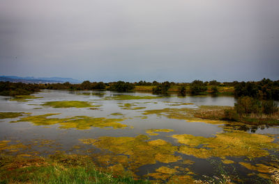 Scenic view of lake and landscape against sky