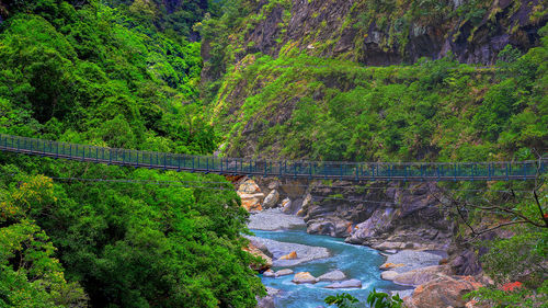 High angle view of valley in forest