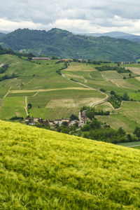 Scenic view of agricultural field against sky