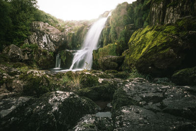 Scenic view of waterfall in forest