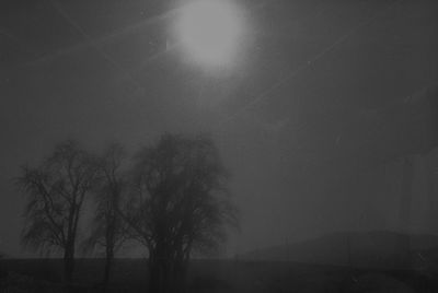 Silhouette bare trees on field against sky at night