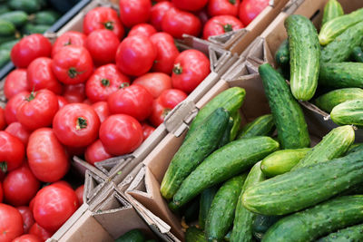 Food market vegetables. various fresh ripe cucumbers