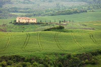 Scenic view of agricultural field by buildings