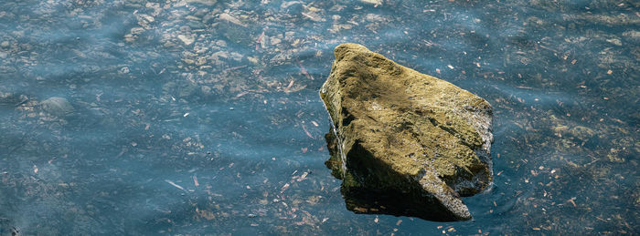 Close-up of water