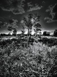 Scenic view of field against cloudy sky